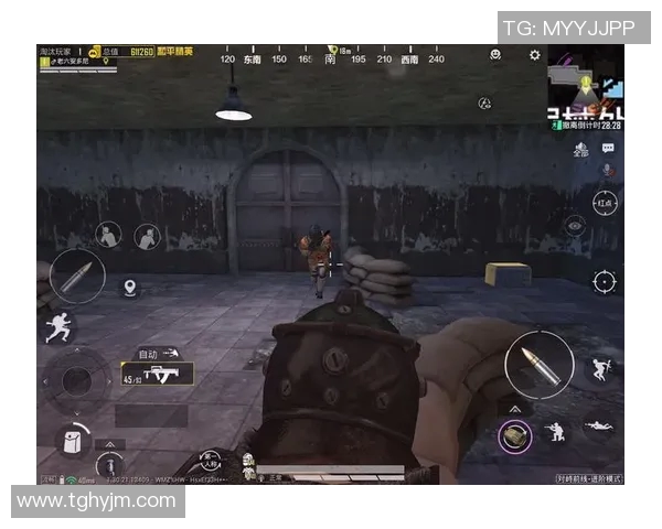 和平精英战术解析：深入探讨FPX在区域防守中的策略与执行